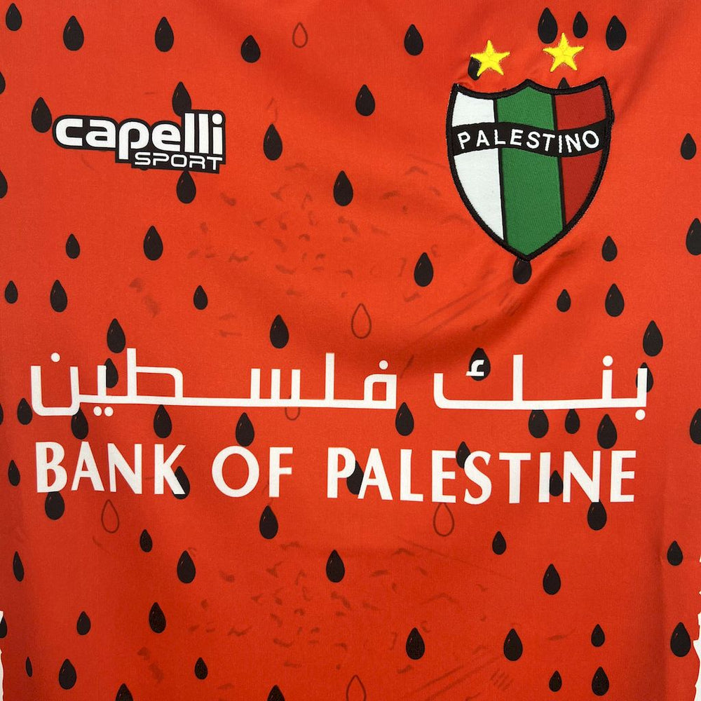 Palestine third 2025-2026