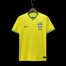 Brésil domicile 2023-2024