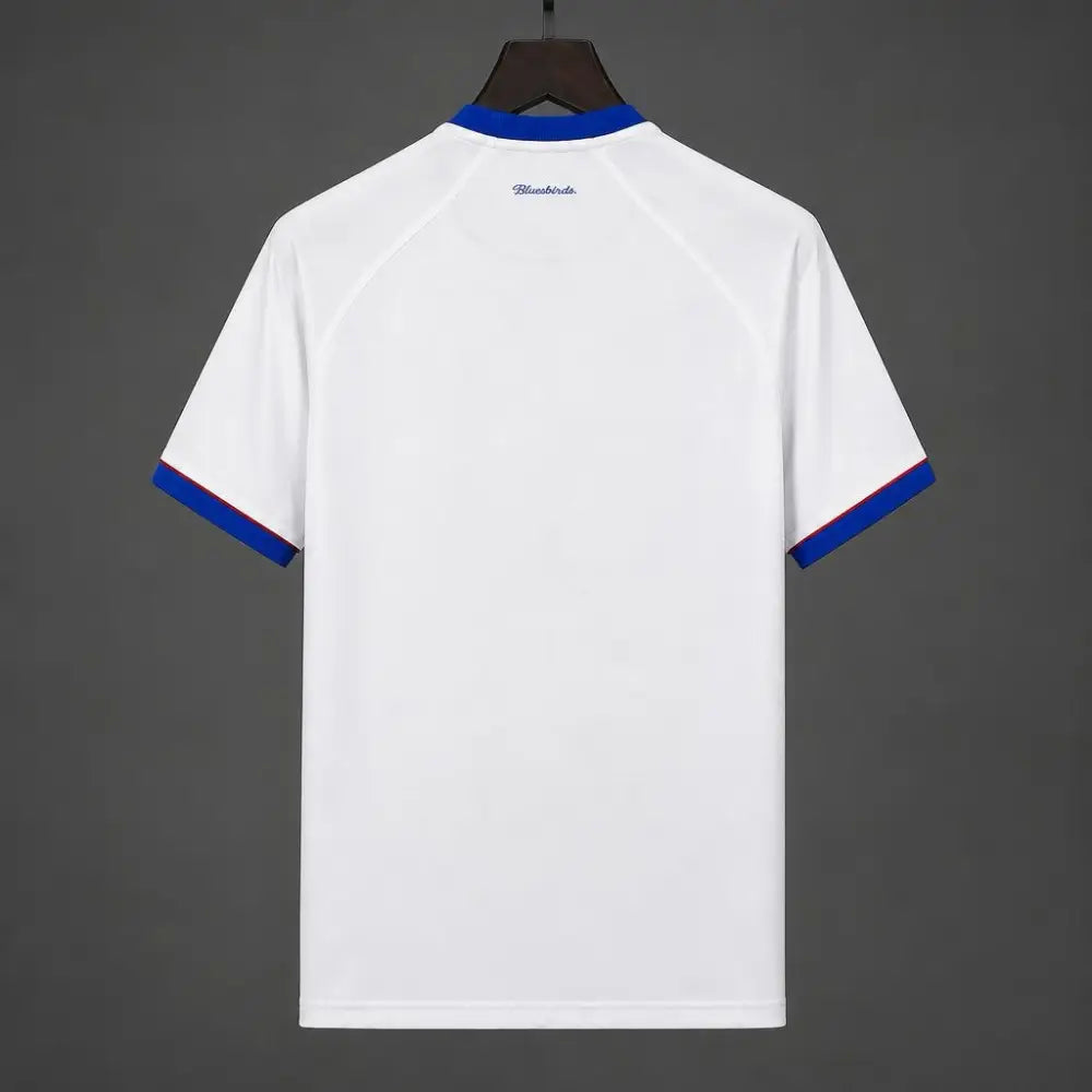 Cardiff City extérieur 2026-2027